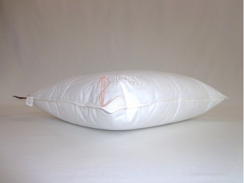 Oreiller Autrans 100% naturel - 30% duvet - 70% plumettes